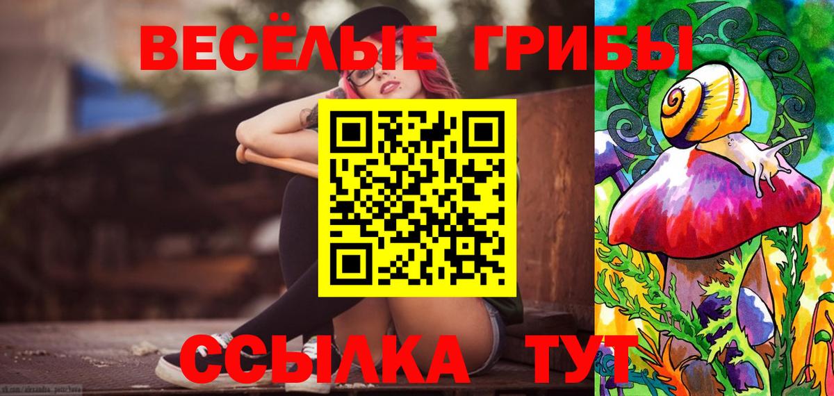 Псилоцибиновые грибы MAGIC MUSHROOMS Чехов